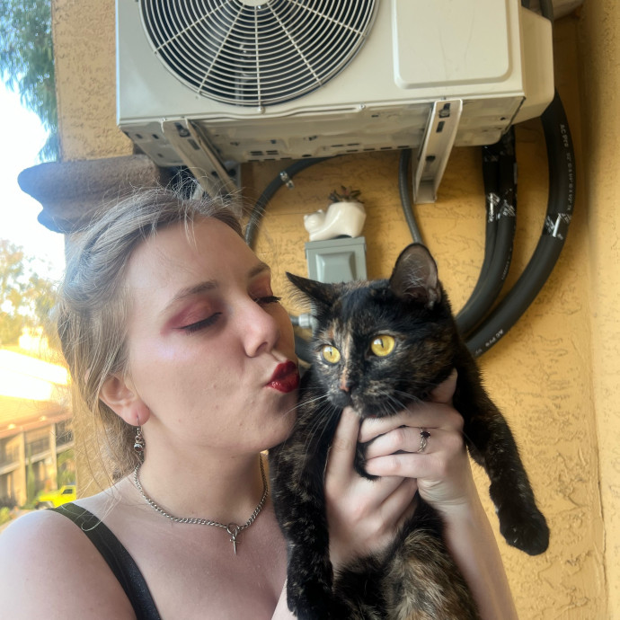 Cat Sitter Cat Spoiler Cat Whisperer