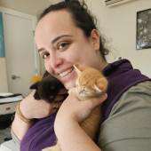 Friendly And Kind Cat Sitter In Dc
