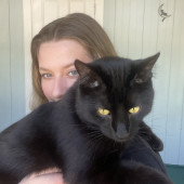Trusted Maine Cat Sitter