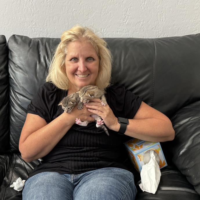 Melis Loves All Cats Melis Loves All Cats