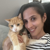 Friendly And Responsible Cat Lover