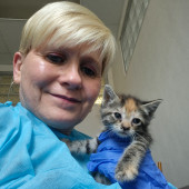 Joyces Fear Free Certified Cat Care
