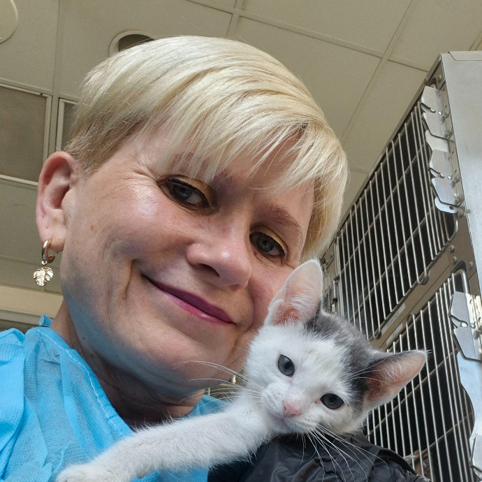 Joyces Fear Free Certified Cat Care