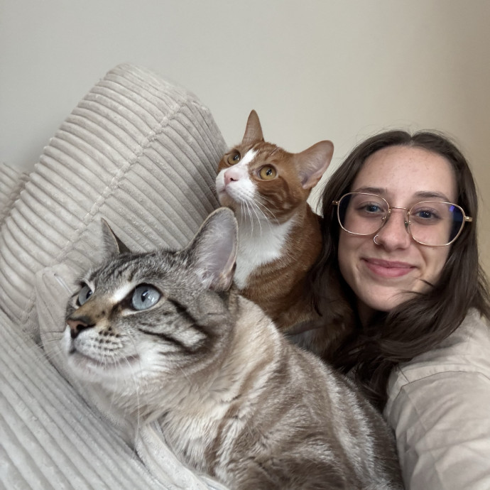 Your Kitty's New Bff