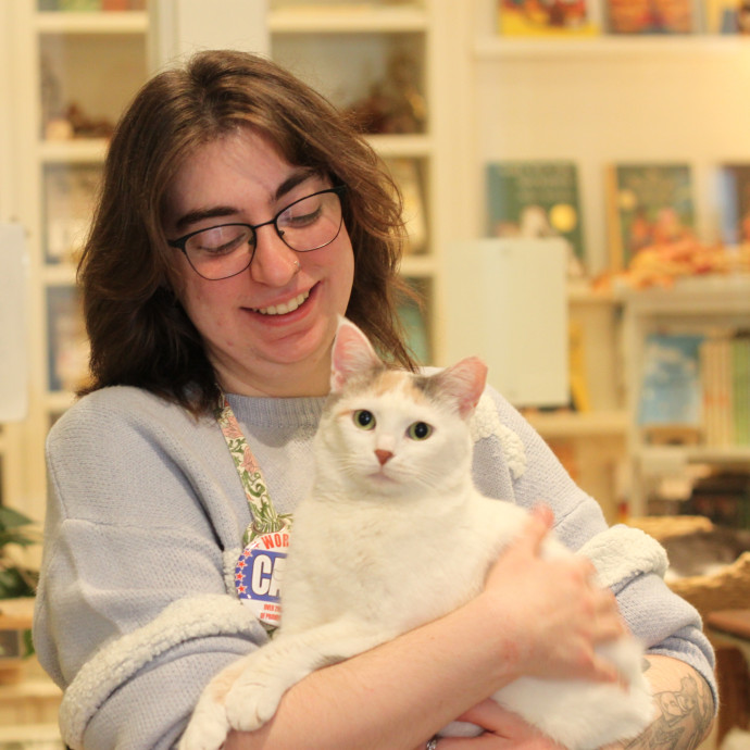 Alex The Cat Maven Alex The Cat Maven
