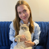 Experienced Cat Lover  Reliable Sitter