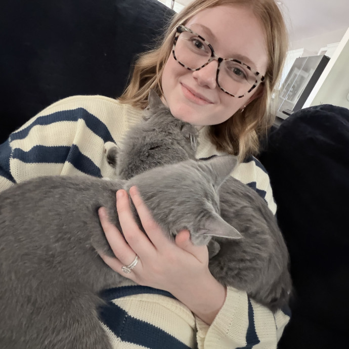 Safe Fun Care For Your Cat