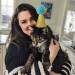 Loving Care For Cats Of All Ages