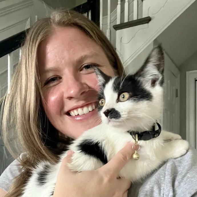 Spoiling Your Cat While You're Away