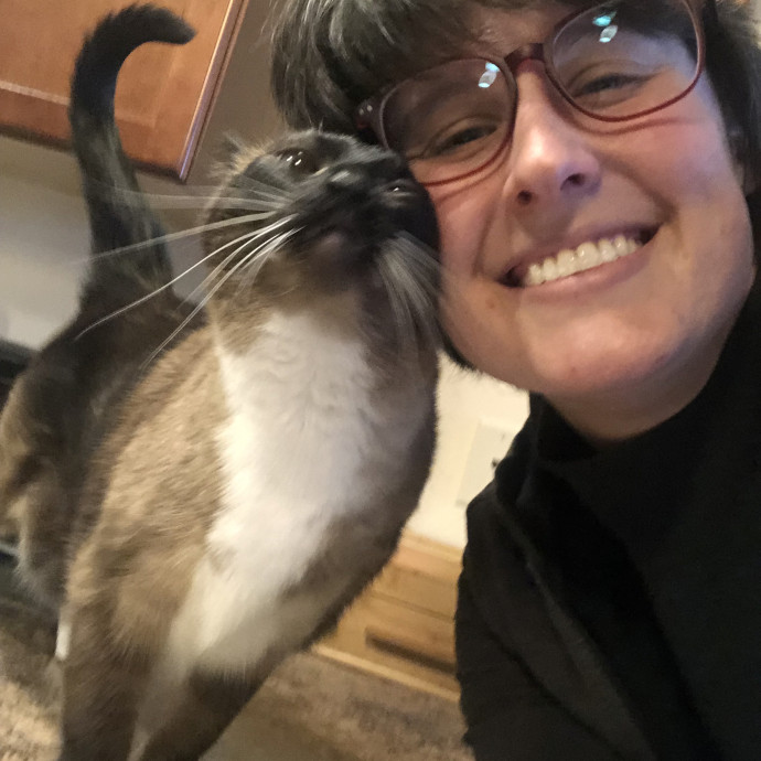 Your Cats New Best Friend
