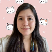 Professional Cat Sitter In Austin