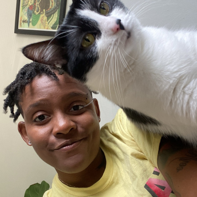 Your Go To Cat Sitter Your Go To Cat Sitter