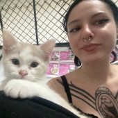 Patient Attentive Cat Care