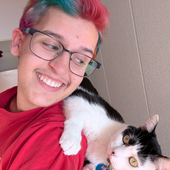 Experienced Cat Owner And Sitter