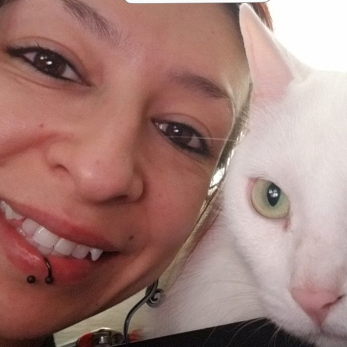 The Best Cat Mom As Your Sittier