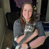 Kind Patient  Experienced Cat Care