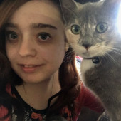 Stellar Cat Sitter In Bayonne