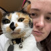 Purrrrsonal Cat Attendant