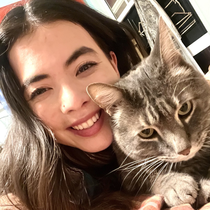 Overnight And Long-Term Cat Care