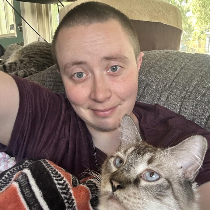 Your Cats Bff When You Are Away