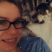 Priscilla's Purrfect Kitty Sitting