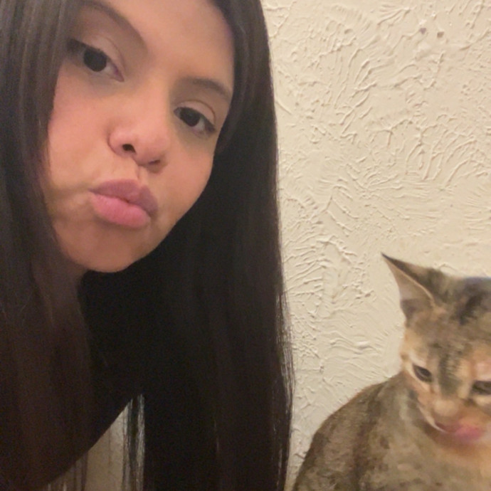 Protecting Your Cat As If It Was Mine