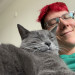 Levi's Cat Sitting
