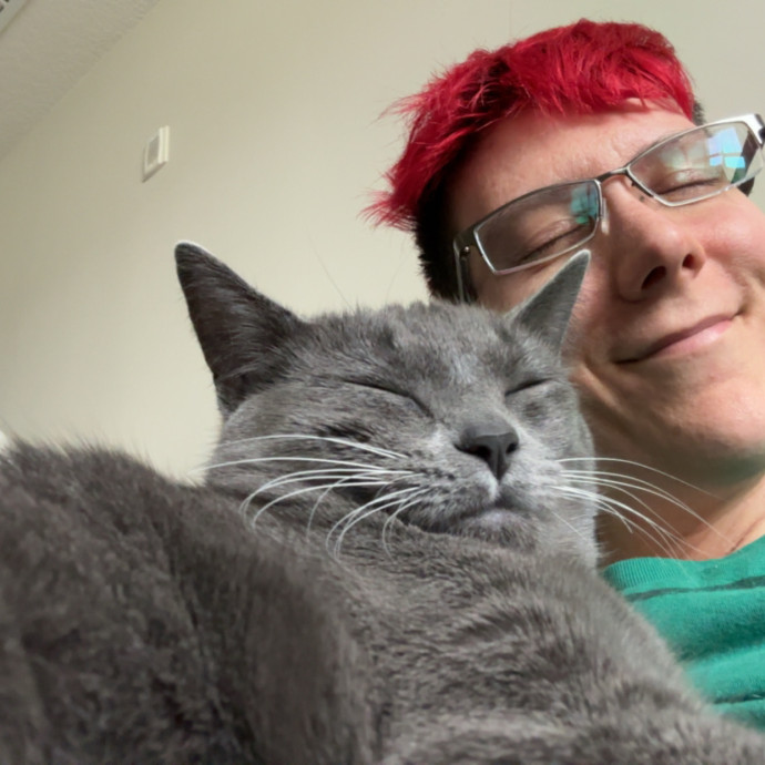 Levi's Cat Sitting