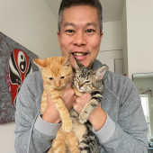 Expert Care From A Cat Foster Veteran