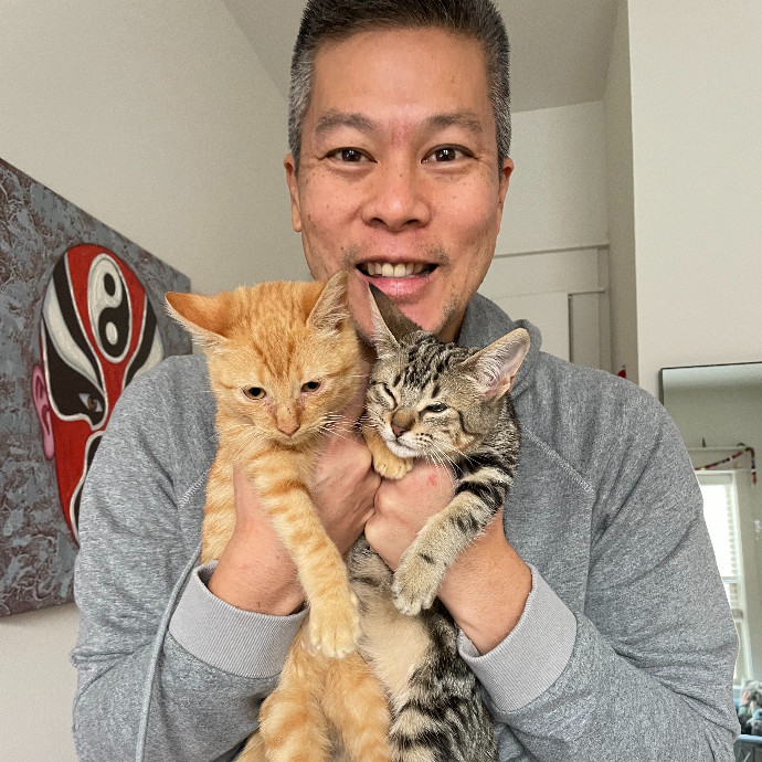 Expert Care From A Cat Foster Veteran