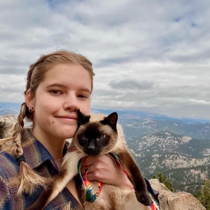 Audrey's Cat Sitting In Denver