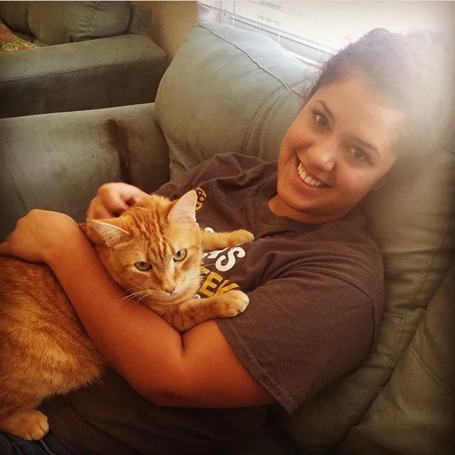 Annabelle's Cat Sitting photo 4