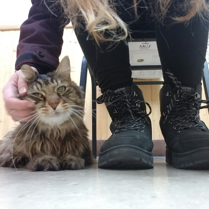 Pawsitive Pet Sitting By Dani