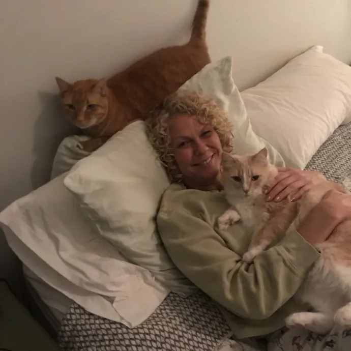 Kittycat Love Diabetic Experience photo 2