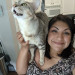 Alyssa's Purrfect Catsitting