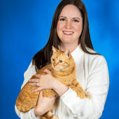 Purrfect Professional Care Great Photos