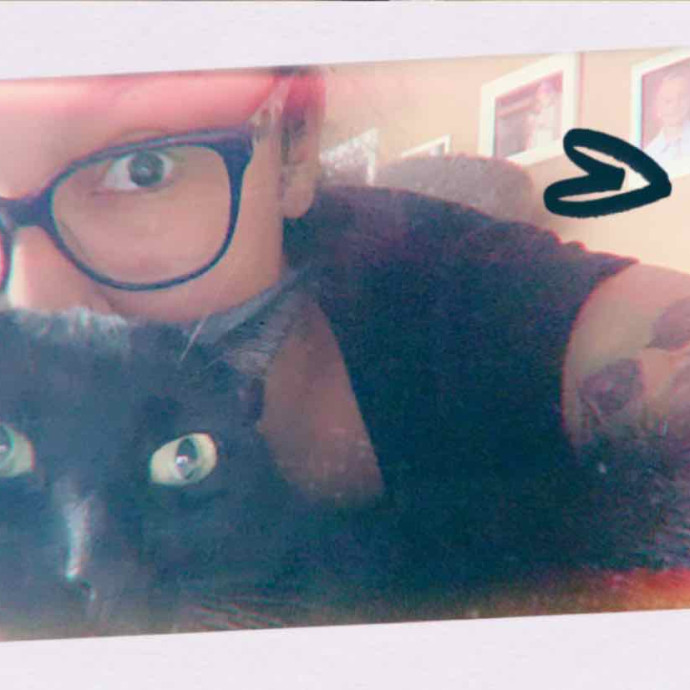 Maegan's Feline Frenzy