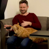 Dan The Cat Man