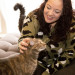 Chanley's Purrfect Cat Sitting Dallas