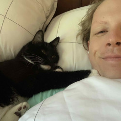 cats-img-1