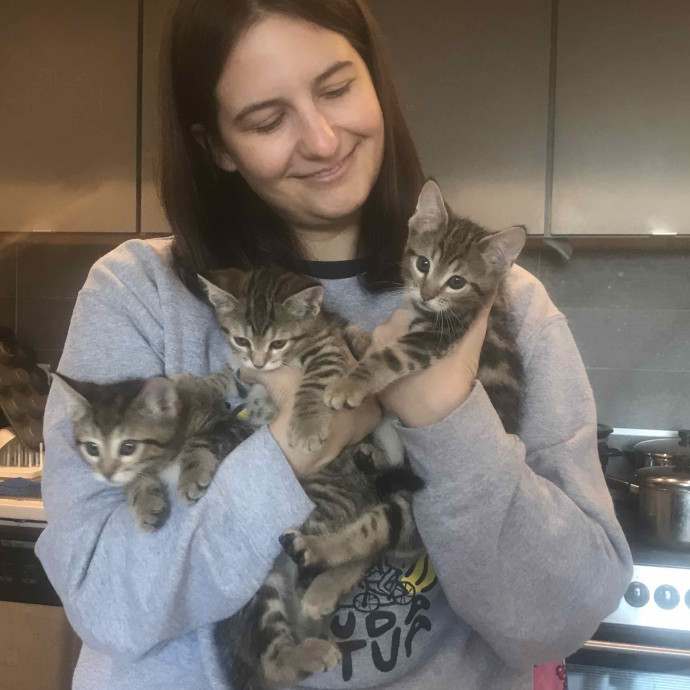 Lauren's Brooklyn Kitten Villa photo 2