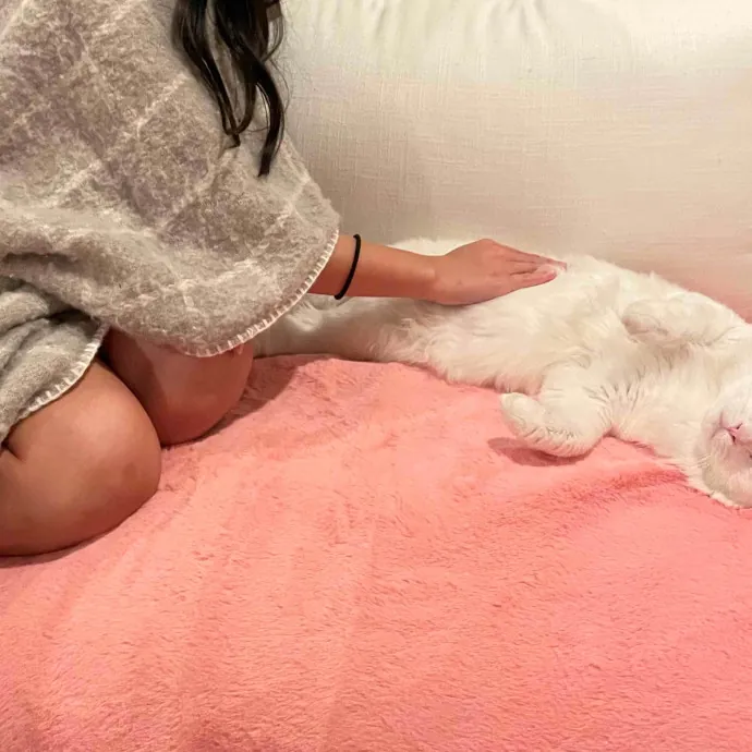 Quality Time With A Caring Sitter