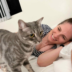 Katie Loves Kitties