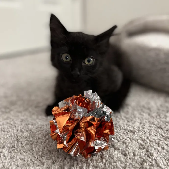 Adriana Stress-Free Care