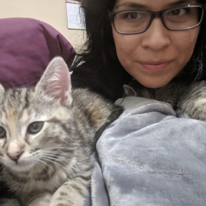 Cat Lover At Your Service photo 2