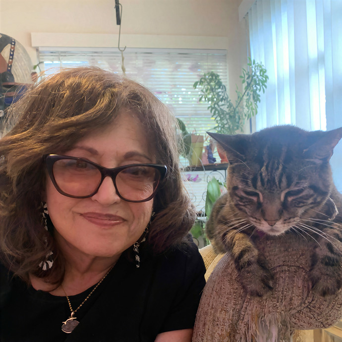 Jody's Purrfect Kitty Sitting