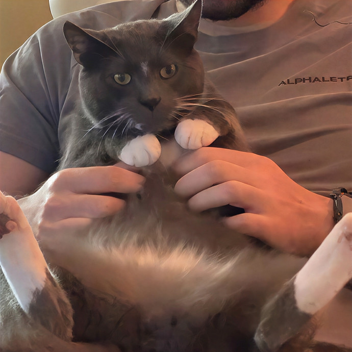 Nova Cool Cat Care