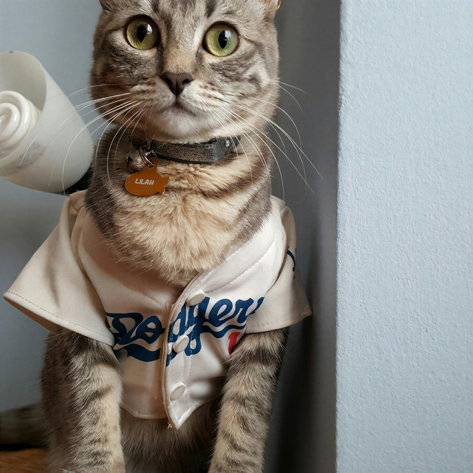 Reyna's Cat Kingdom photo 3
