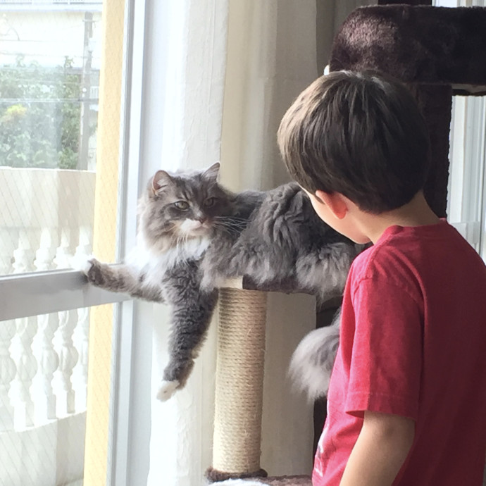 Family Critter Sitters photo 3