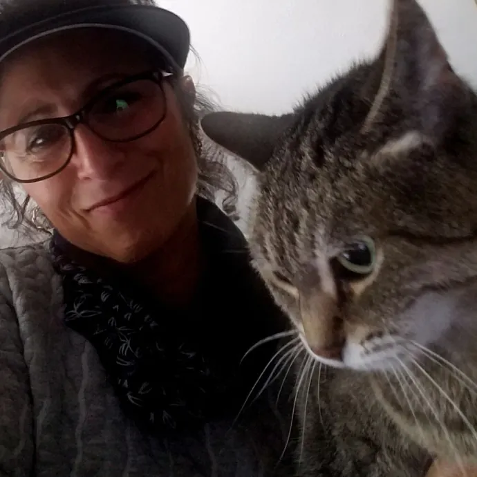 Kathy's Kalamazoo Purrfect Cat Care